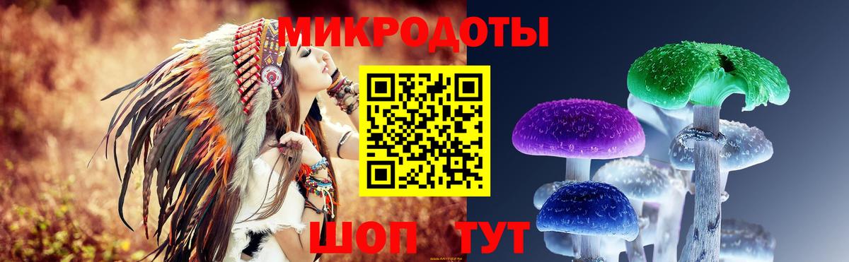 Клинцы  Псилоцибиновые грибы мицелий  Вход с VPN 